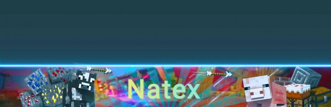 Natex_Compressor