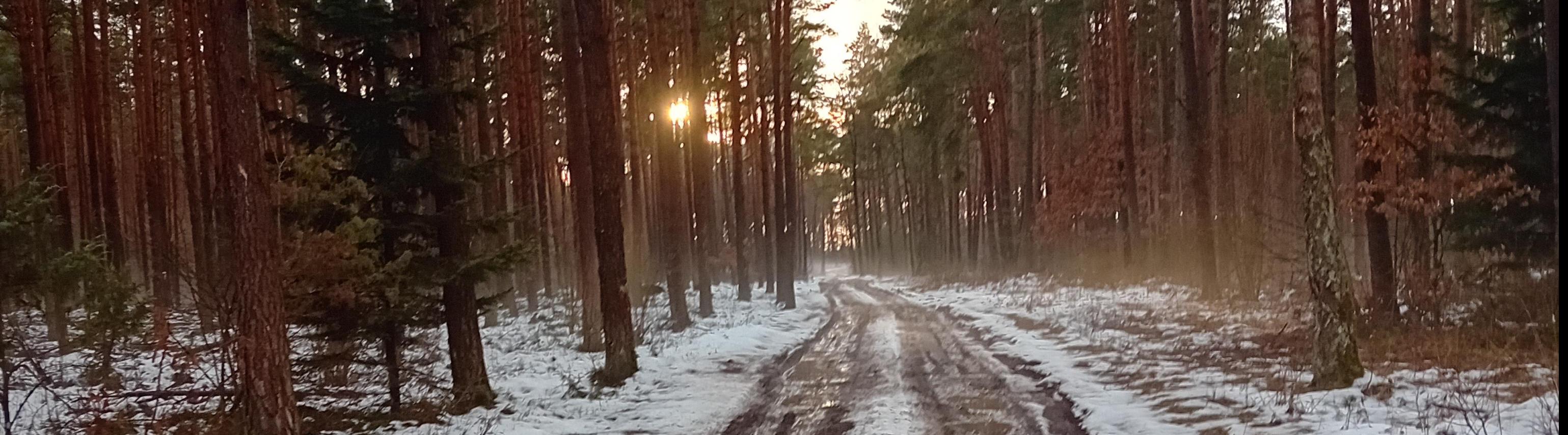 Marek_Kielce