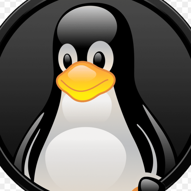 GNU/Linux 