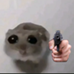 Husar_PL